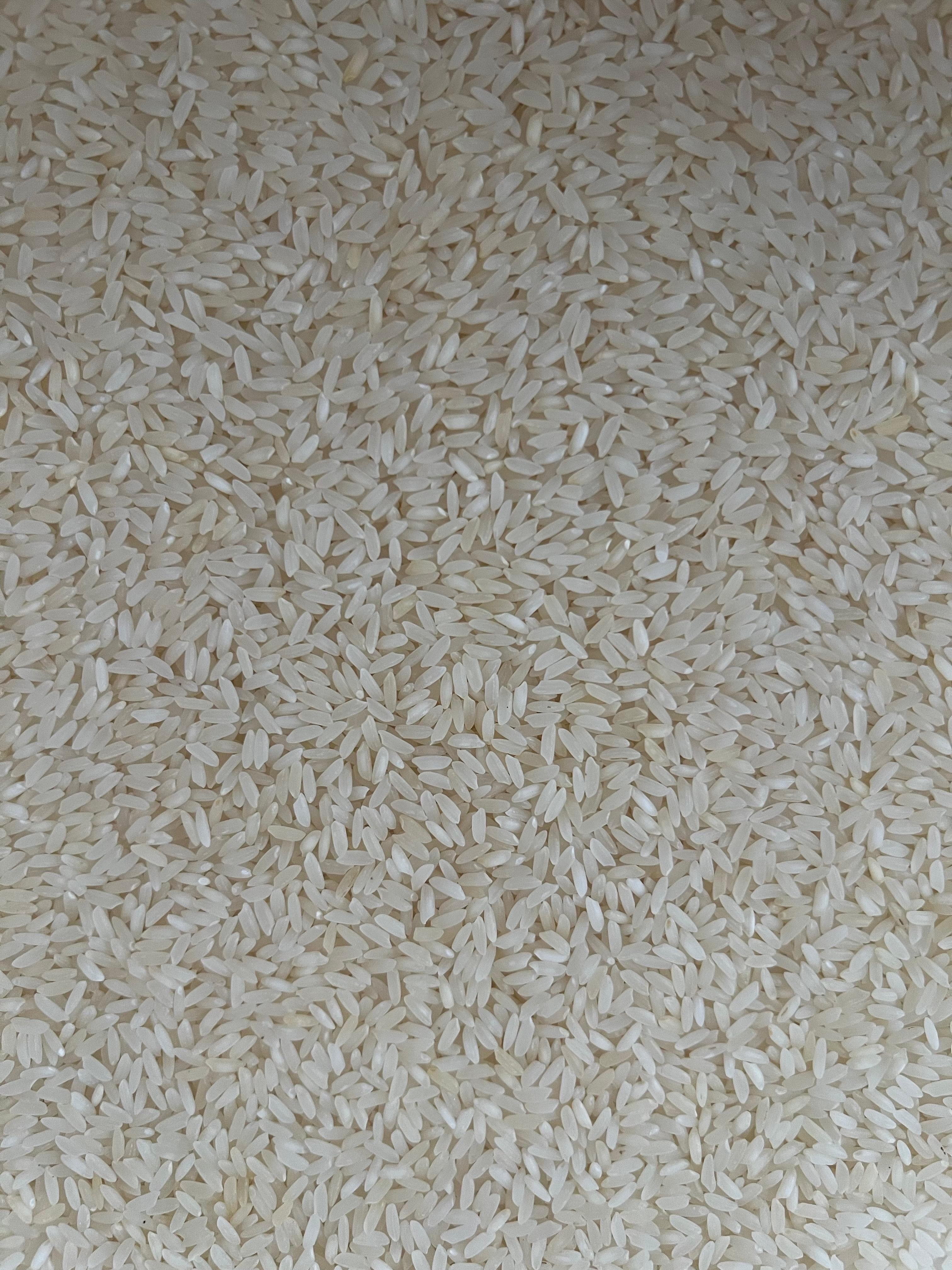 Sona Masoori Gold Old Raw Rice