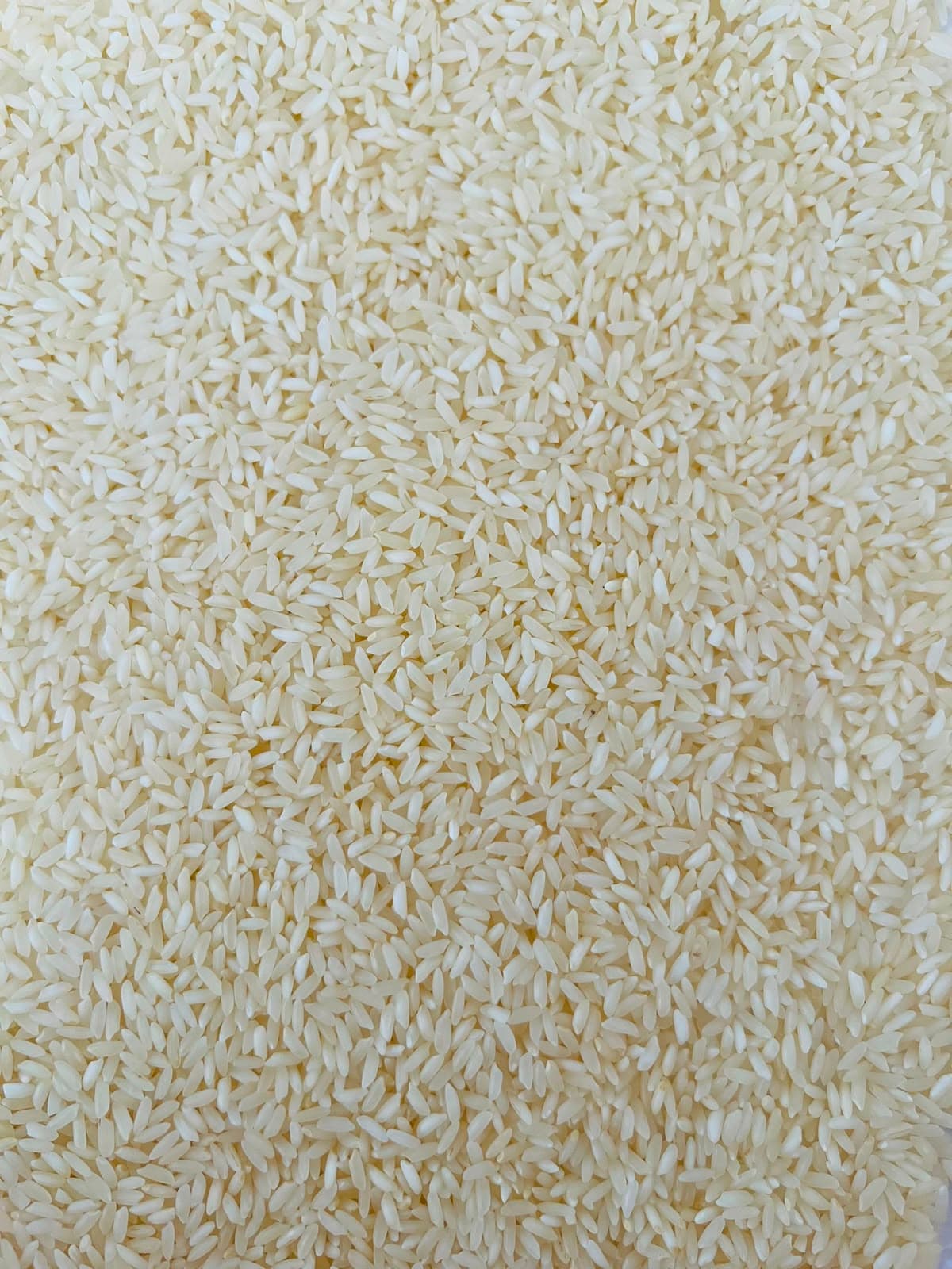 Sona Masoori Silver Rice